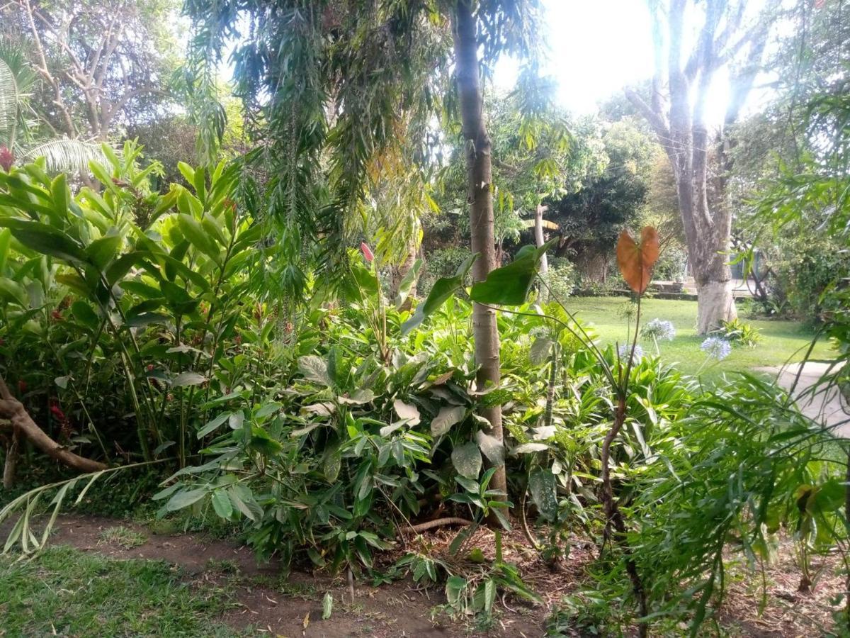 Karibu Heritage House Arusha Eksteriør bilde