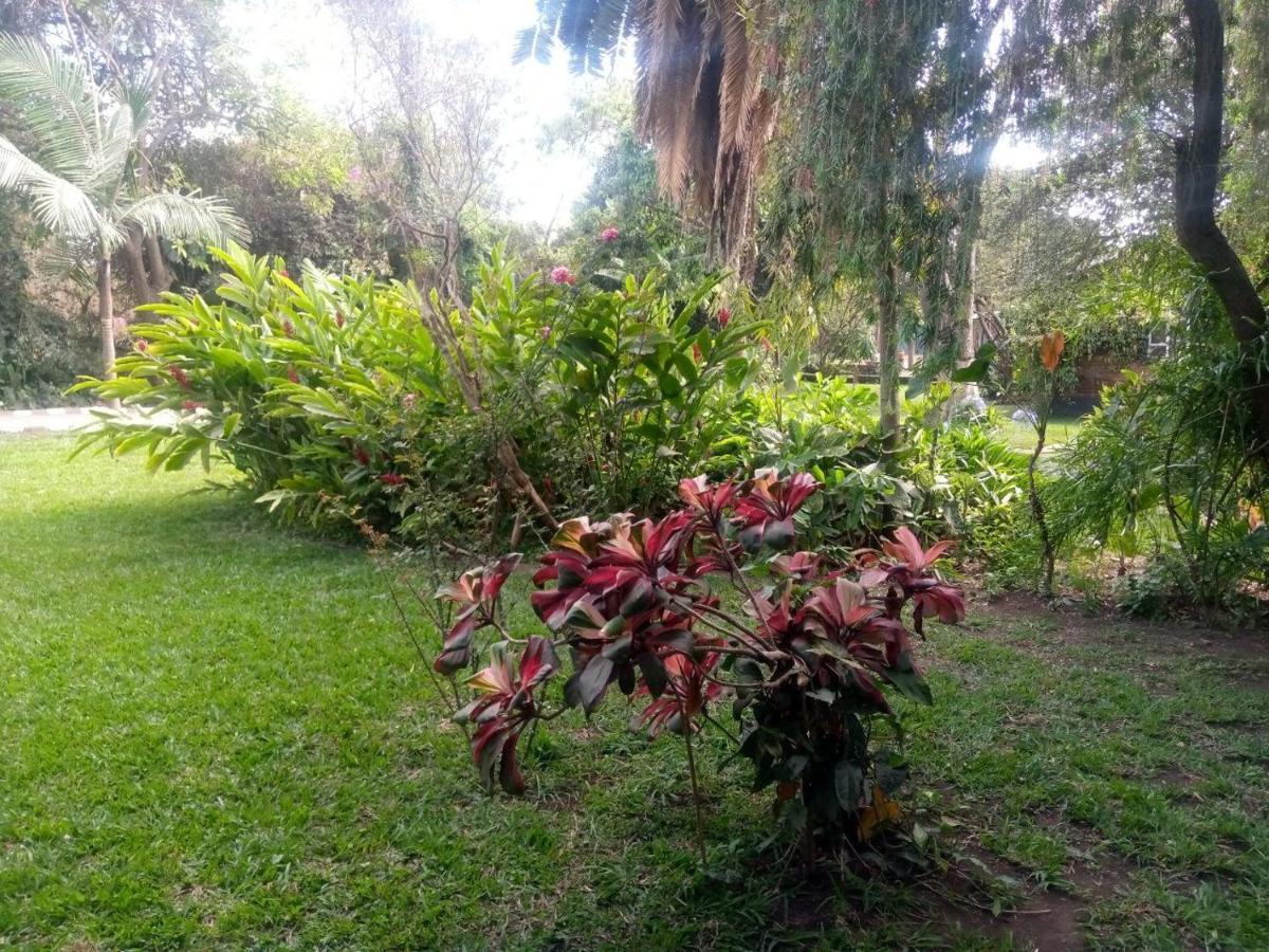 Karibu Heritage House Arusha Eksteriør bilde