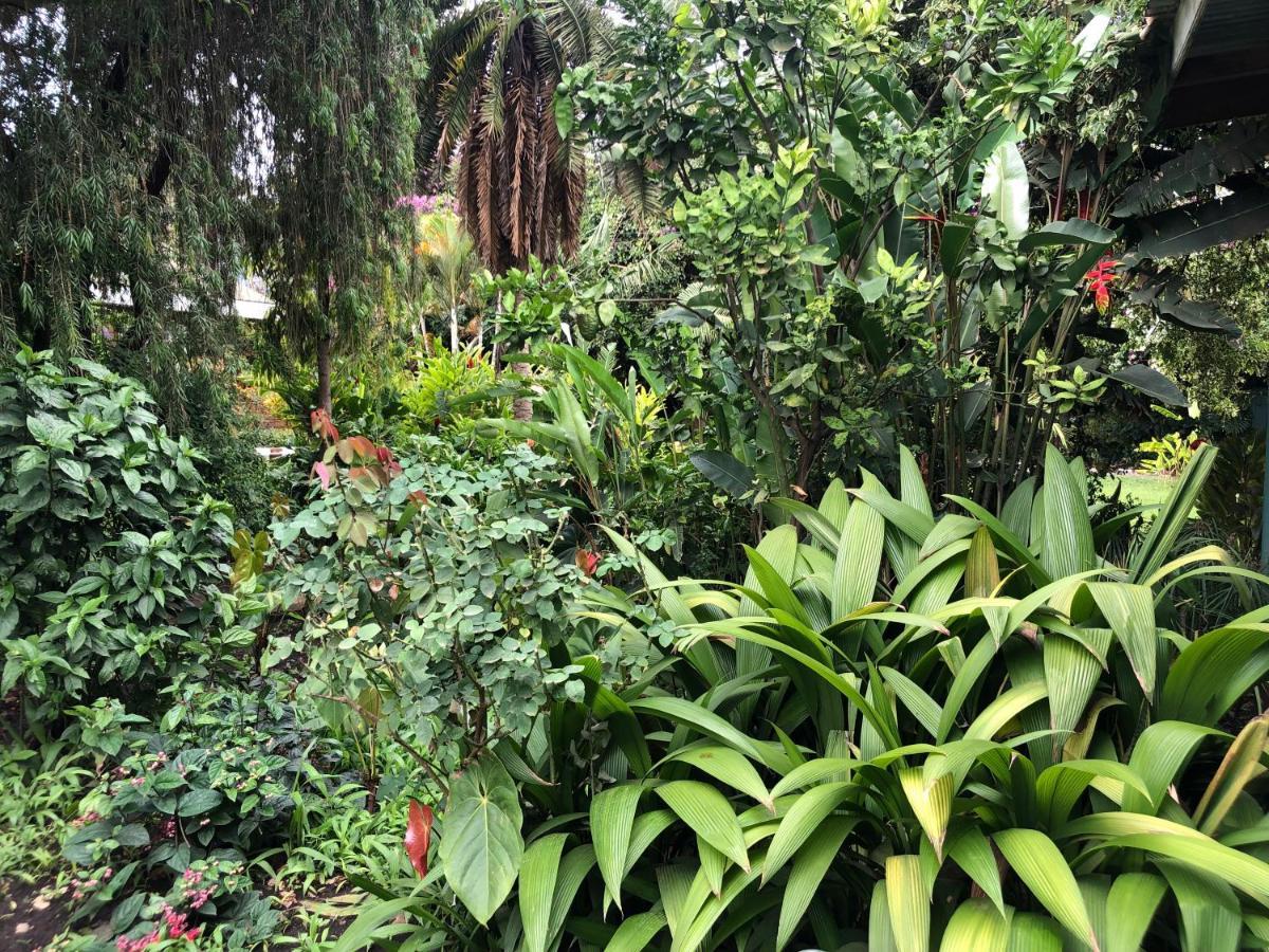 Karibu Heritage House Arusha Eksteriør bilde
