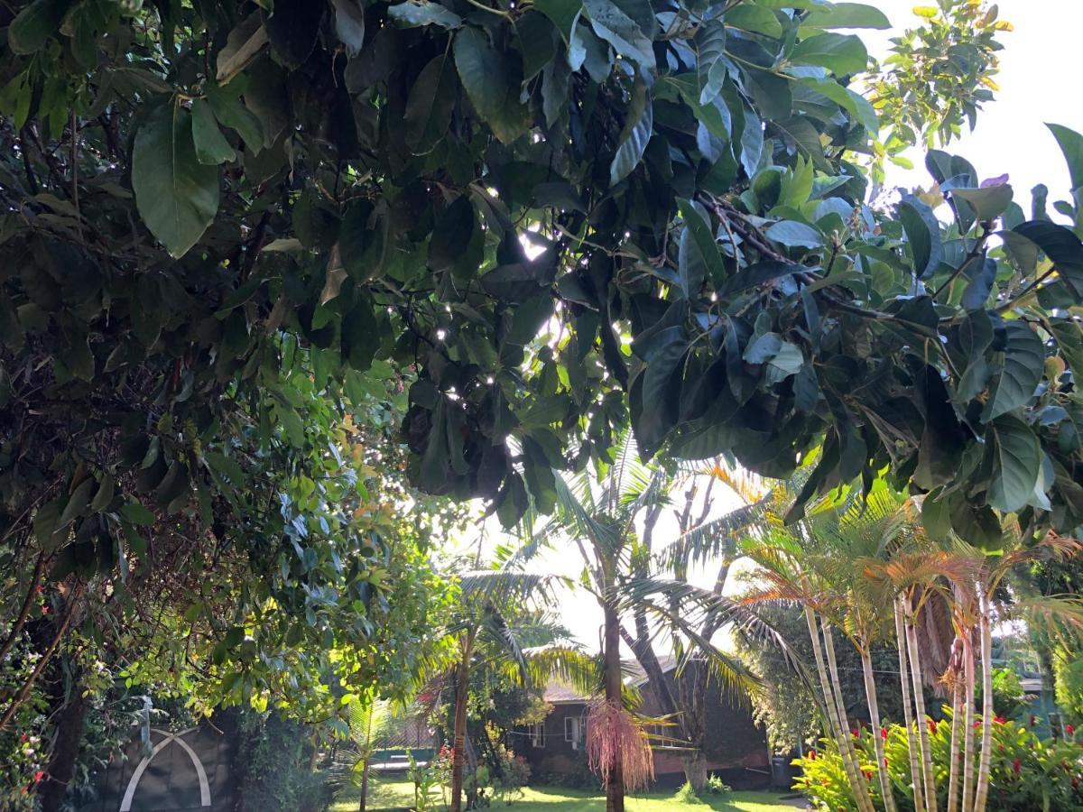Karibu Heritage House Arusha Eksteriør bilde