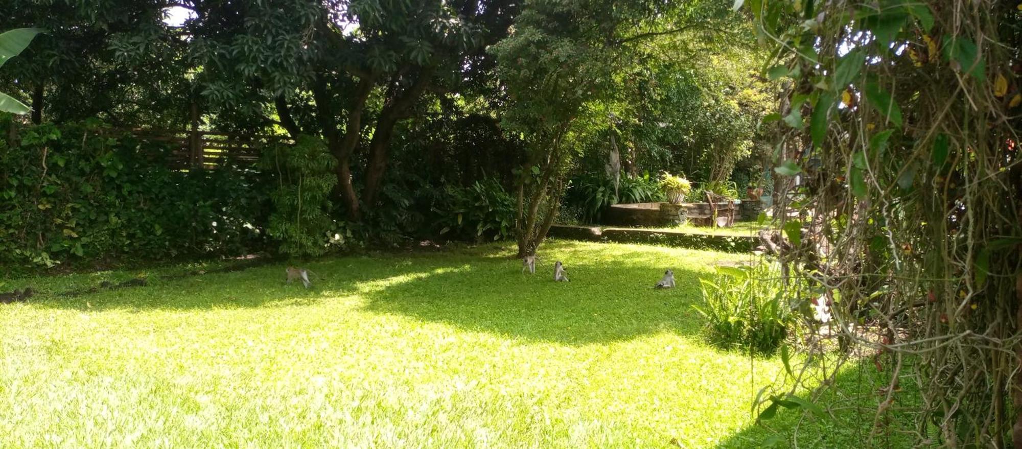 Karibu Heritage House Arusha Eksteriør bilde